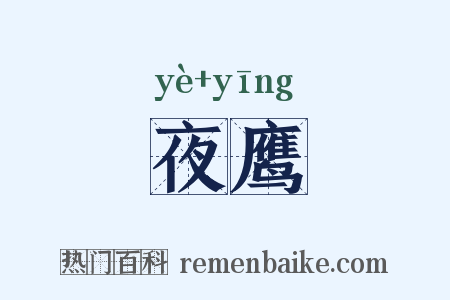 夜鹰是什么意思的图片